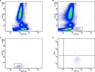 Blood Flow Restriction Exercise Attenuates the Exercise-Induced Endothelial Progenitor Cell Response in Healthy, Young Men